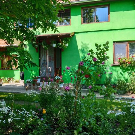 Csergo Ildiko Vendeghaz Hotel Lăzarea Buitenkant foto