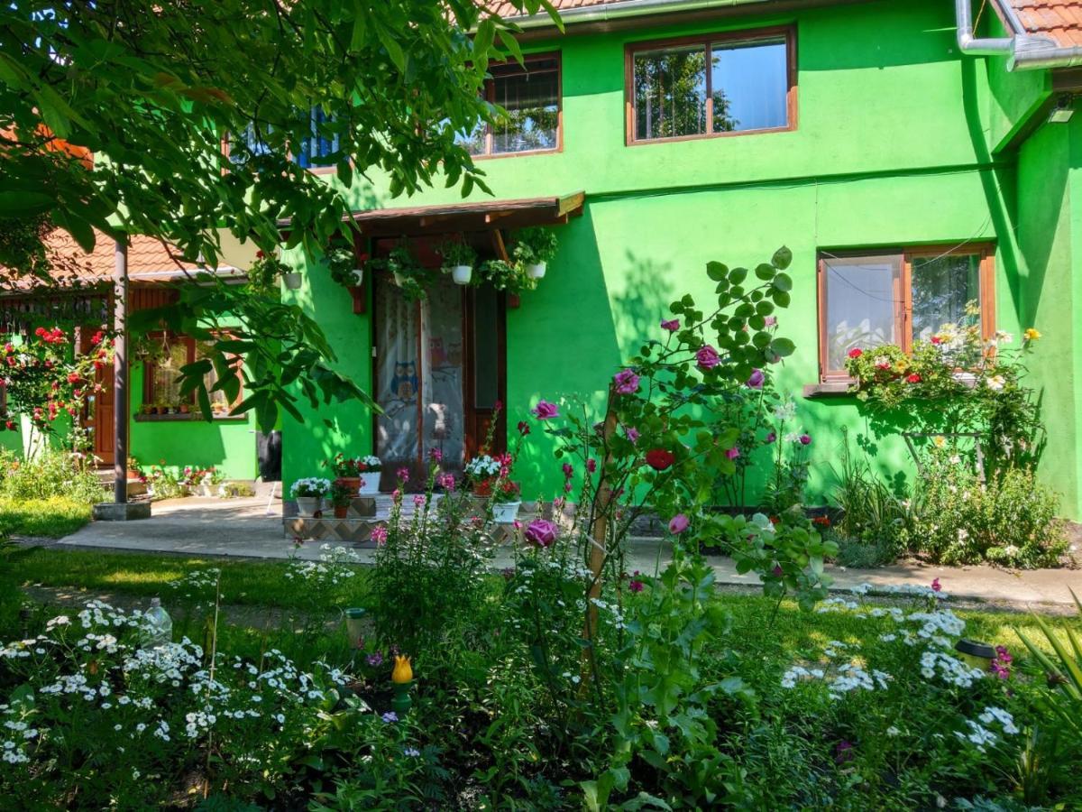 Csergo Ildiko Vendeghaz Hotel Lăzarea Buitenkant foto