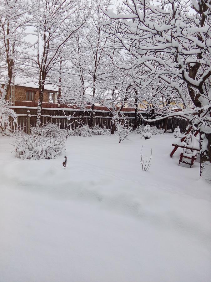 Csergo Ildiko Vendeghaz Hotel Lăzarea Buitenkant foto