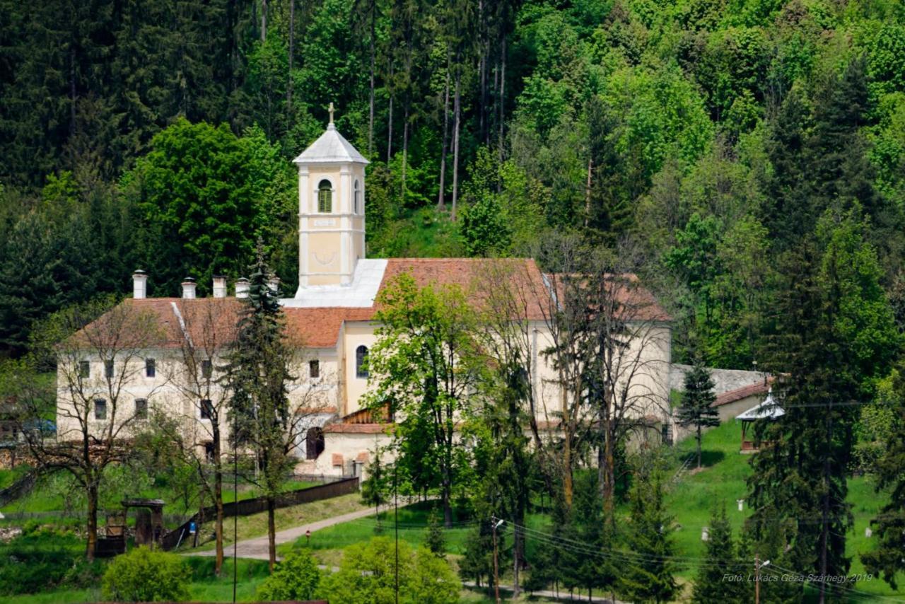 Csergo Ildiko Vendeghaz Hotel Lăzarea Buitenkant foto